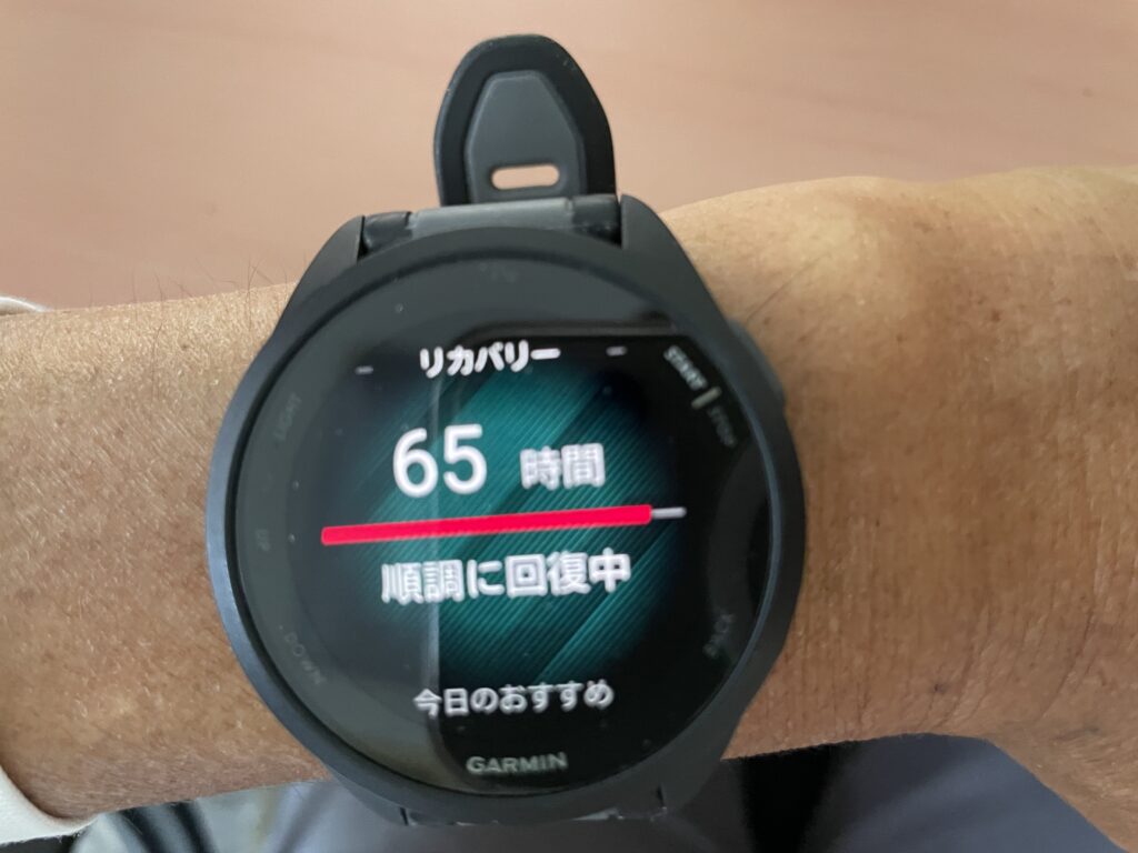 ガーミンリカバリ−20251001